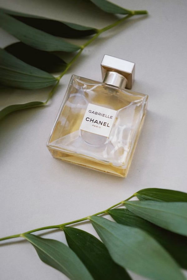 Photo of Chanel Gabrielle bottle among some fern leaves.